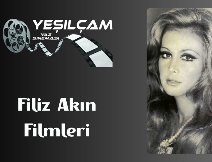 Filiz Akın Filmleri